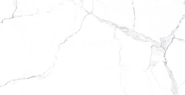 STATUARIO LEO 60x120 - Imagen 6